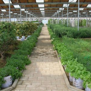 光伏農(nóng)業(yè)